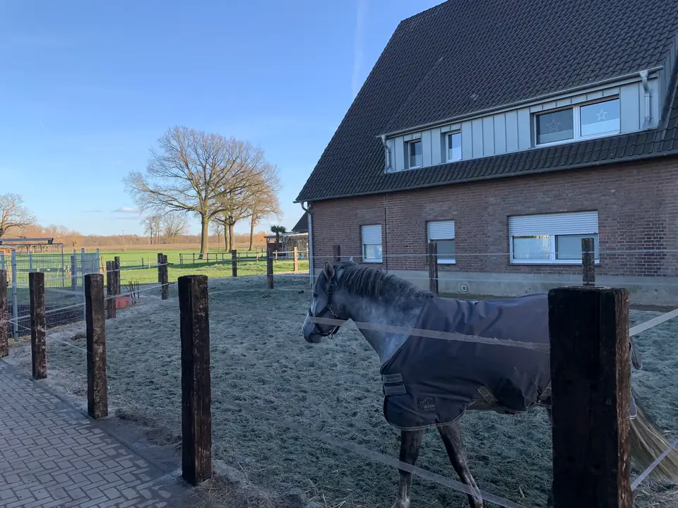 Allwetterpaddocks